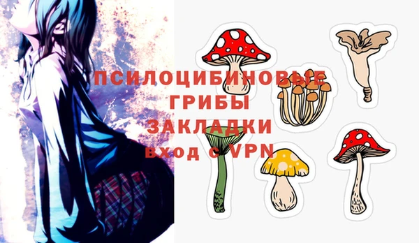 apvp Володарск