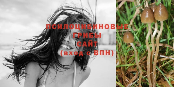 apvp Володарск